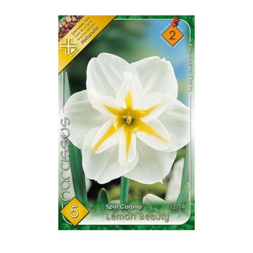 Narcis lemon beauty 5ks - Veľkonočné ozdoby