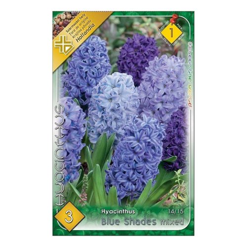 Hyacint blue shades mix 3ks