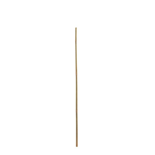 Bambus tyč 180cm - Vianočné stromčeky
