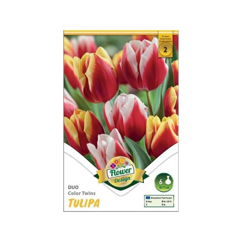 Tulipán duo color twins 6ks - Umelé kvety