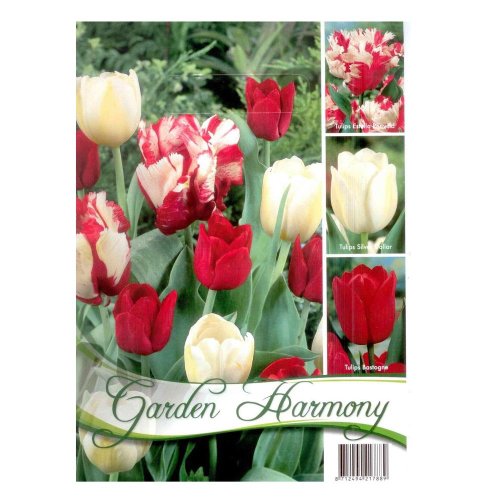 Kolekcia red-white tulips 15ks - Vianočné dekorácie