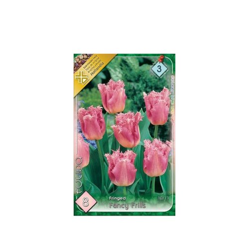 Tulipán fancy frills 8ks - Veľkonočné ozdoby