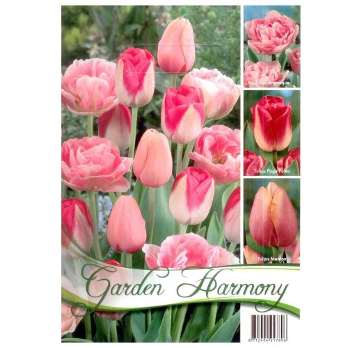 Kolekcia pink tulips 15ks