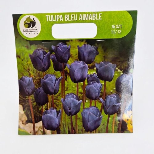 Tulipán bleu aimable 15ks - Vianočné osvetlenie