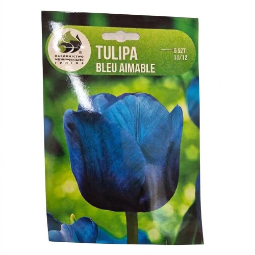 Tulipán bleu aimable 5ks - Vianočné osvetlenie