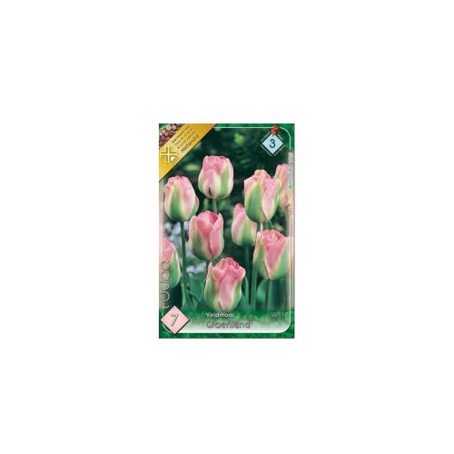 Tulipán groenland 7ks - Veľkonočné ozdoby