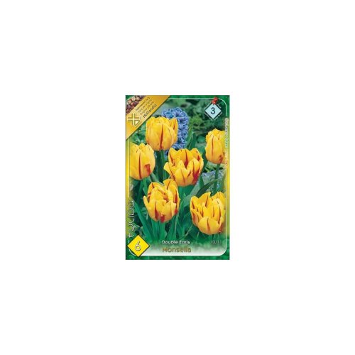 Tulipán monsella 6ks - Umelé kvety