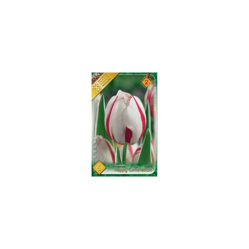 Tulipán happy generation 6ks - Vianočné dekorácie