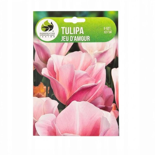 Tulipán jeu d´amour 5ks - Vianočné dekorácie a ozdoby