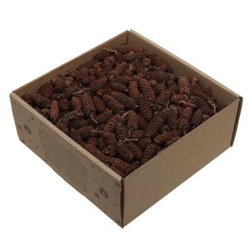 Birch pine/šiška natur 250g.