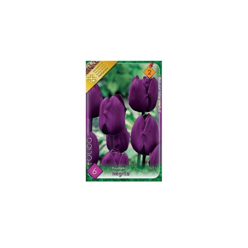 Tulipán negrita 6ks - Vianočné dekorácie