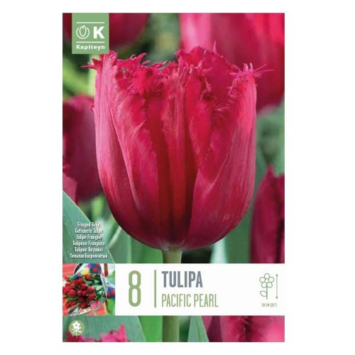 Tulipán pacific pearl 8ks - Umelé kvety