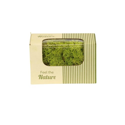 Moss reindeer ca. 50gr nature 14x8x10cm