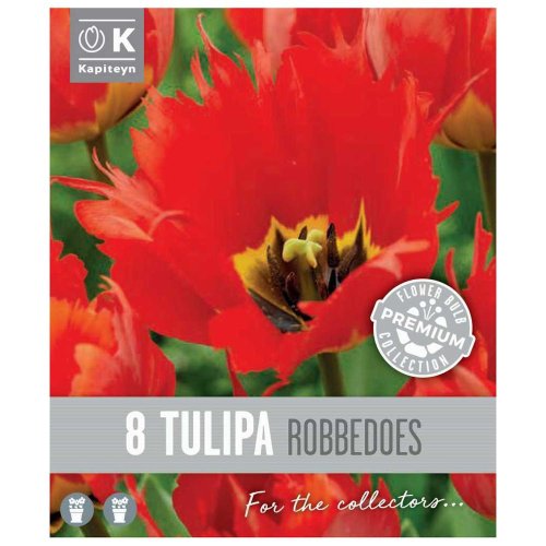 Tulipán prem.robbedoes 8ks - Umelé kvety