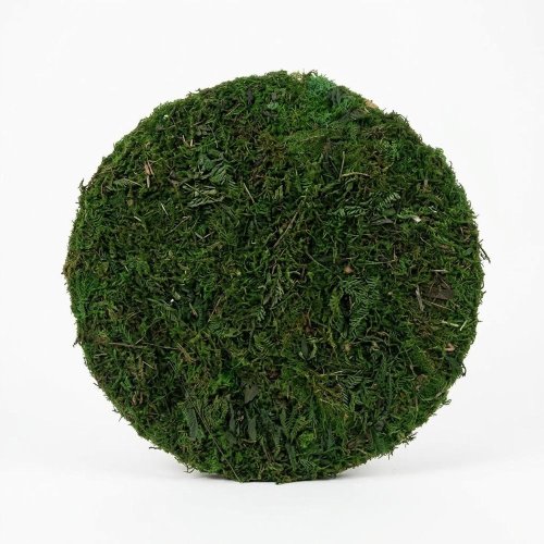 Podklad mach kruh pr.31/v5,5cm - Aranžérsky materiál