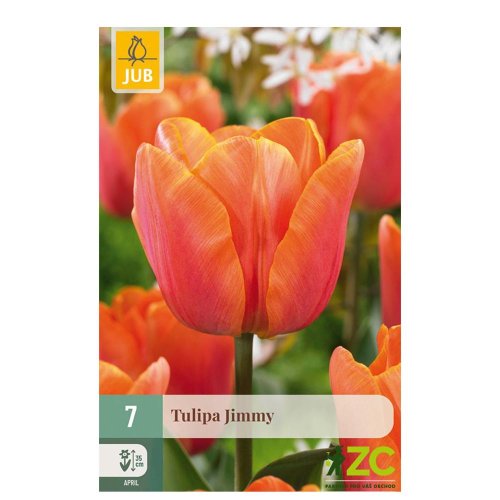 Tulipán jimmy 7ks pevná cena - Umelé kvety