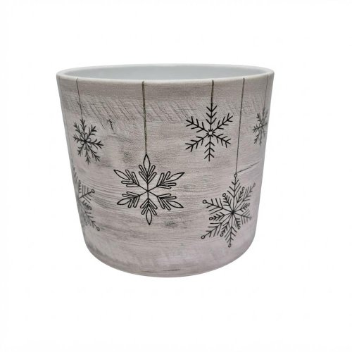 70341 obal cozy stars 631/14 - Umelé kvety