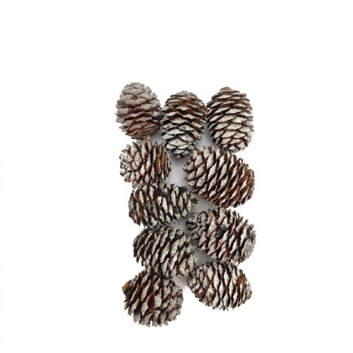 Exotic mix murri heads 85gr nature 10x4x21cm - Vianočné dekorácie a ozdoby