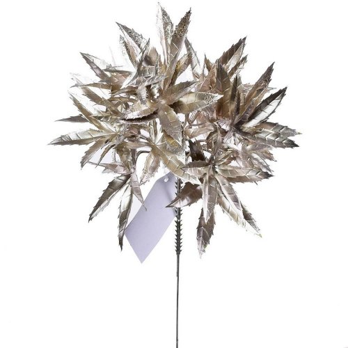 Tráva champagne 24 cm