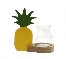 Hydroponický Dekoračný Kvetináč - Ananás