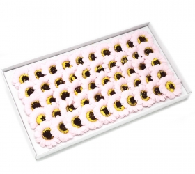 Mydlové kvety, malá slnečnica - ružová