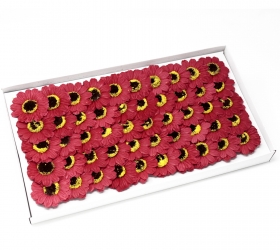 Mydlové kvety, malá slnečnica - červená