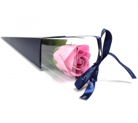  Mydlový kvet - ružová ruža