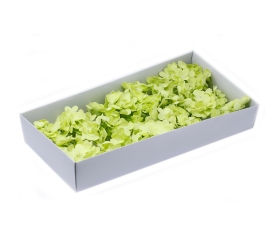 Mydlové kvety, kvet Hyacint - zelená