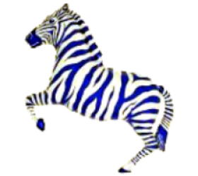 Balónik Zebra modrý - 35cm