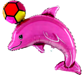 Balón  Delfín s loptou