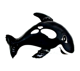 Balónik Kosatka čierna