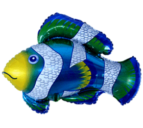 Balónik Ryba - klaun