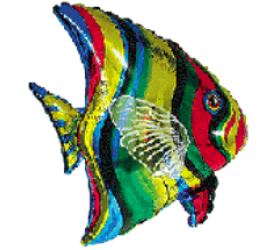 Balónik Ryba Skalár