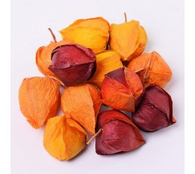 Machovka oranžová s/12