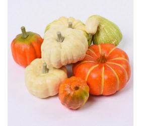 Tekvice v sieťke 7-11,5cm s/6 polystyren