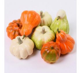 Tekvice v sieťke 5-11,5cm s/8 polystyren