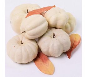 Tekvice biele sieťka s/6