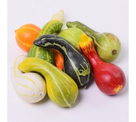 Tekvice farebné 8pcs/bag 18x9x9cm