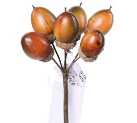 Zväzok žalude s/6 l:11cm