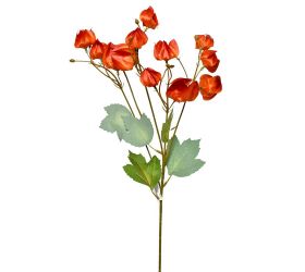 Konár physalis 58cm