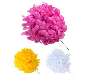 Chryzantéma vosková 13cm