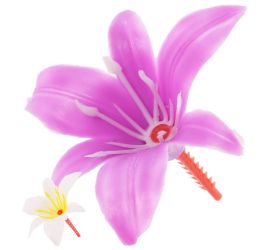 Ľalia väzbová  v10cm/š12cm