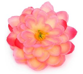 24flk02-0220 hlava camelia smot.ruž p:10cm bal:12ks