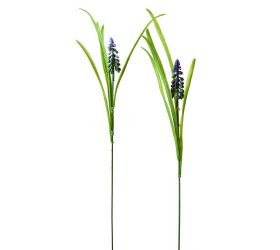 25flk020286 muscari ks/gum 55 cm