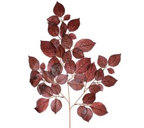 List ficus červený 56cm