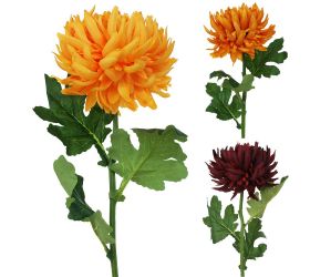 Ks chrysantema 2f mix b 65cm
