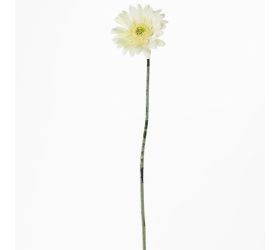 Gerbera biela ks 45cm