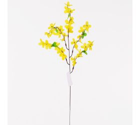 Ks zlatý dážď 53cm/5