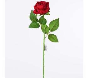 Ldj02 ks ruža zamat.