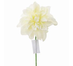 Ks dahlia vian. biela sneh